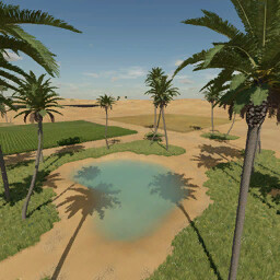 Desert Oasis