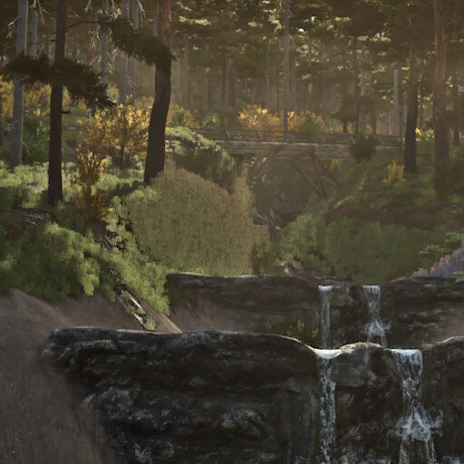 The Haut Doubs Forest