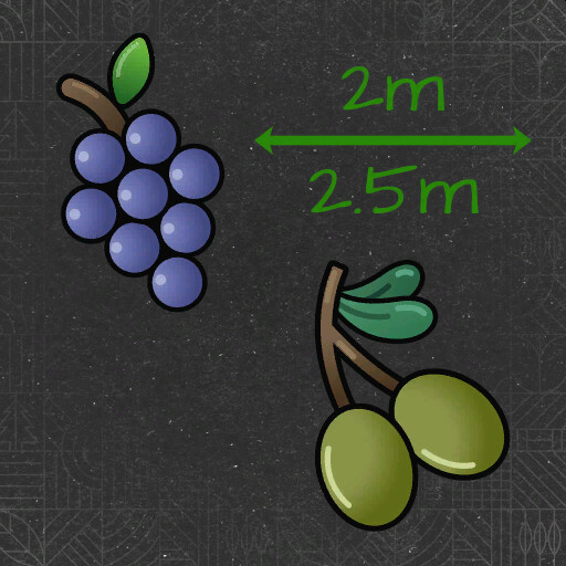 Narrow Vines And Olives (2 And 2.50)