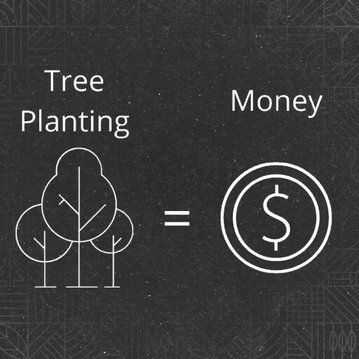 Profit Per Tree