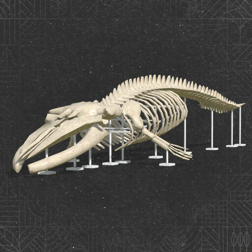 Whale Skeleton Sculpture