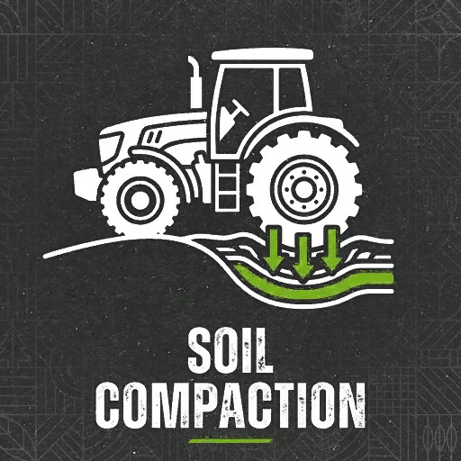 Soil Compaction