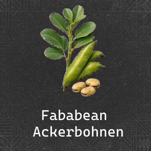 Faba Beans (Prefab*)