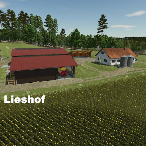 Lieshof 4x Map