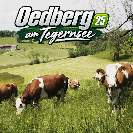 Oedberg At The Tegernsee